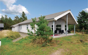 Pet Friendly Home In Blåvand With Wifi